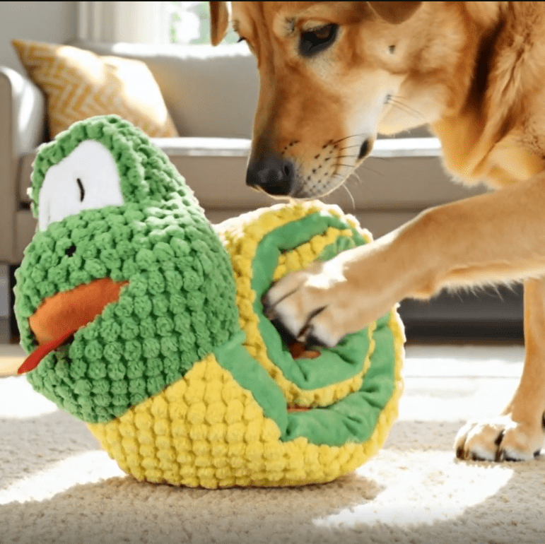 Comment utiliser un jouet à renifler pour stimuler son chien ? - PawNord