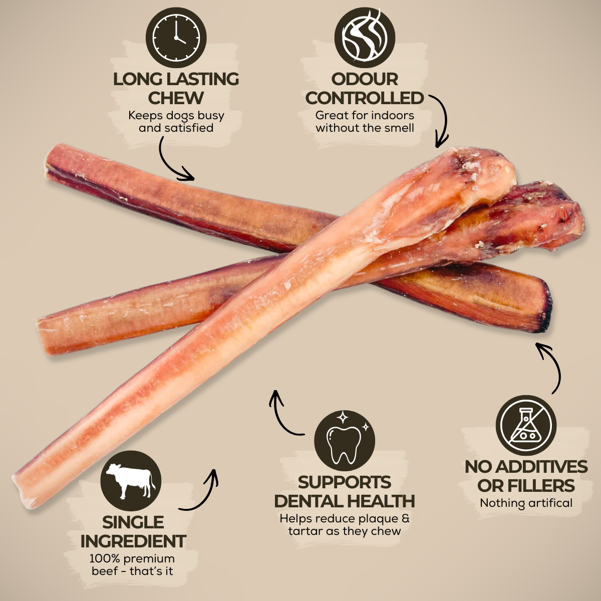 Bully stick géant de 30 cm (12 po)