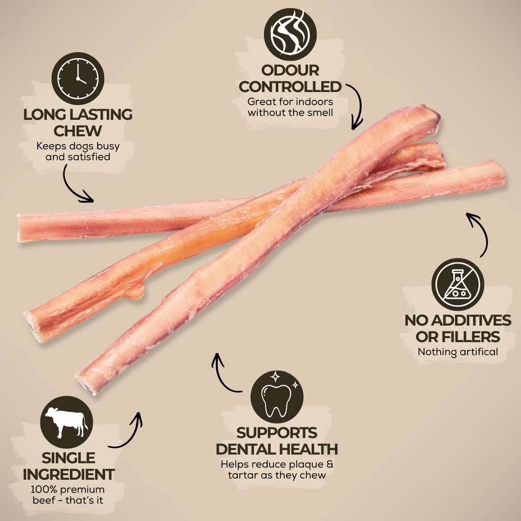 Bully stick standard de 30 cm (12 po)