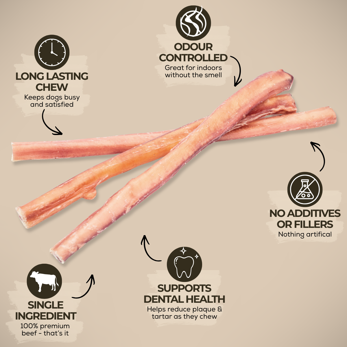 Bully stick standard de 30 cm (12 po)
