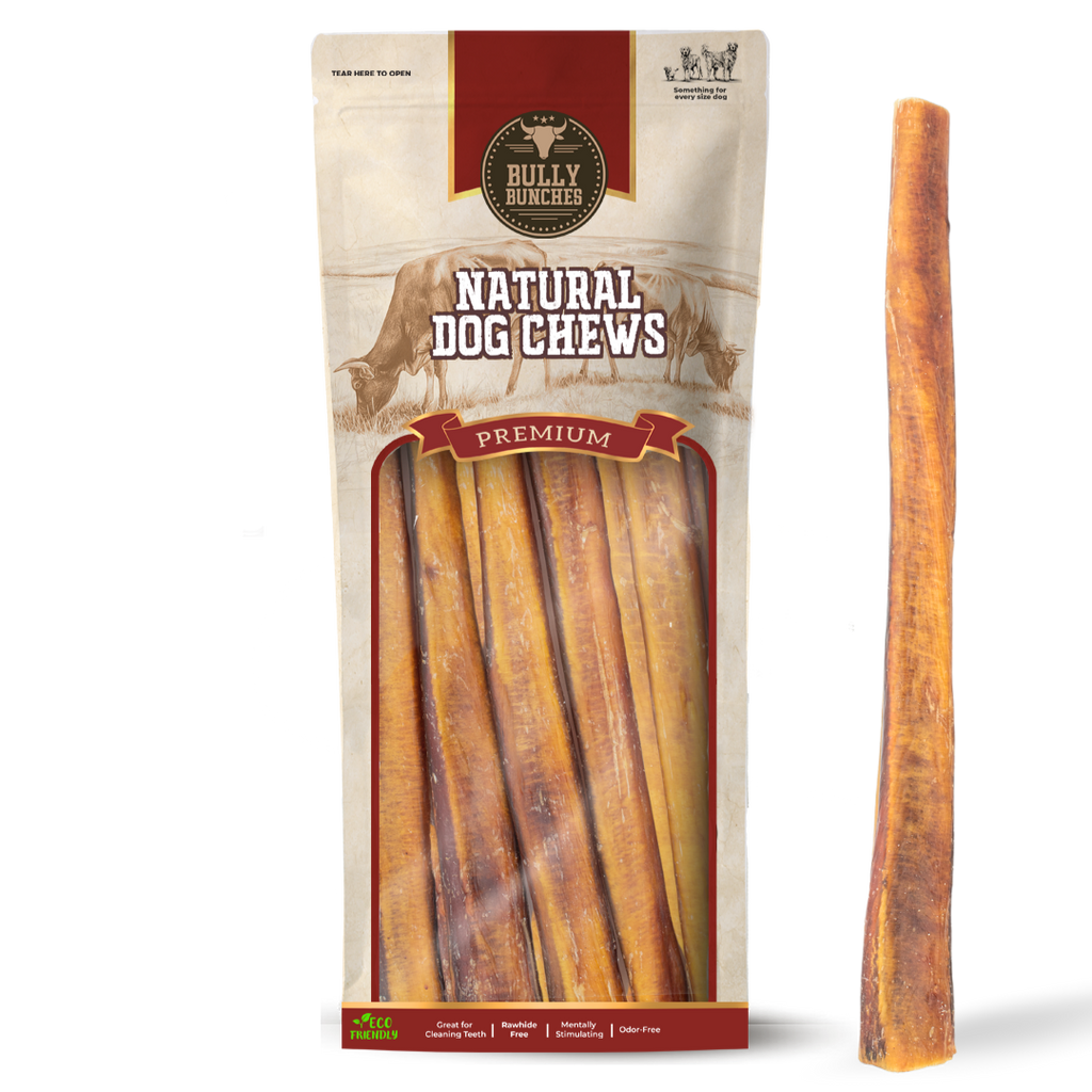 Bully stick jumbo de 30 cm (12 po)