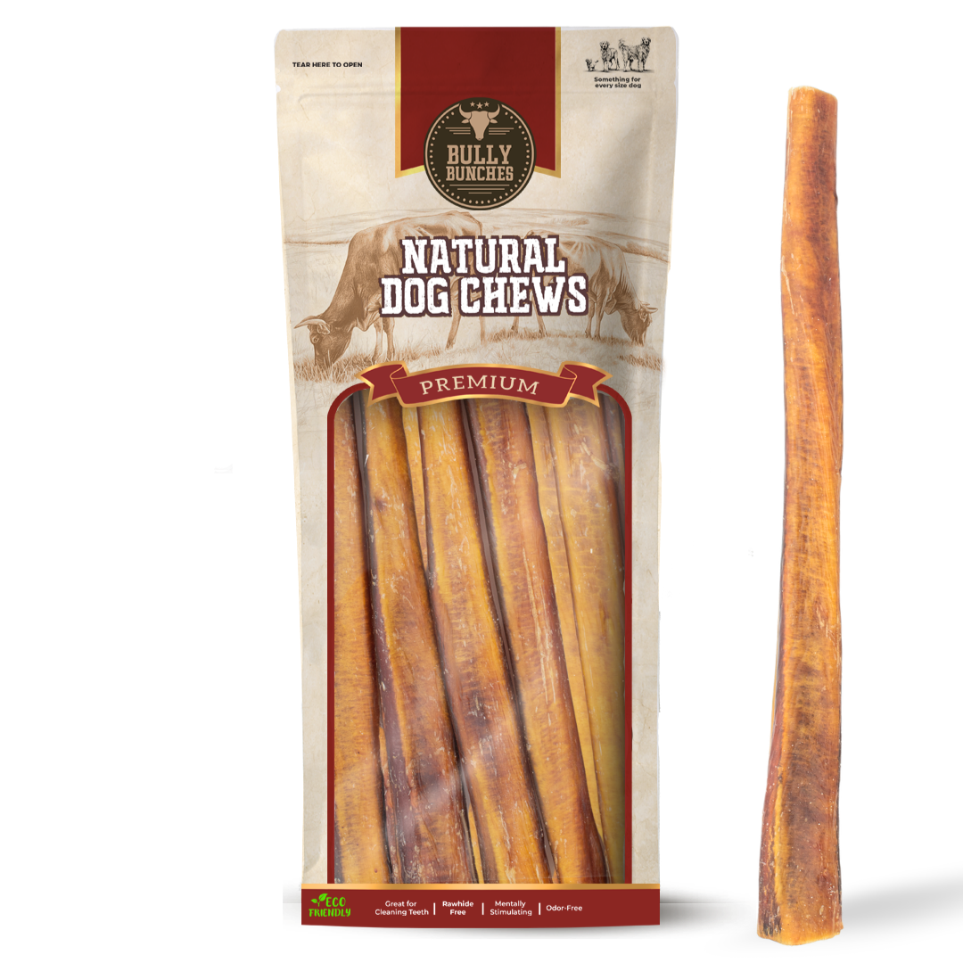 Bully stick jumbo de 30 cm (12 po)