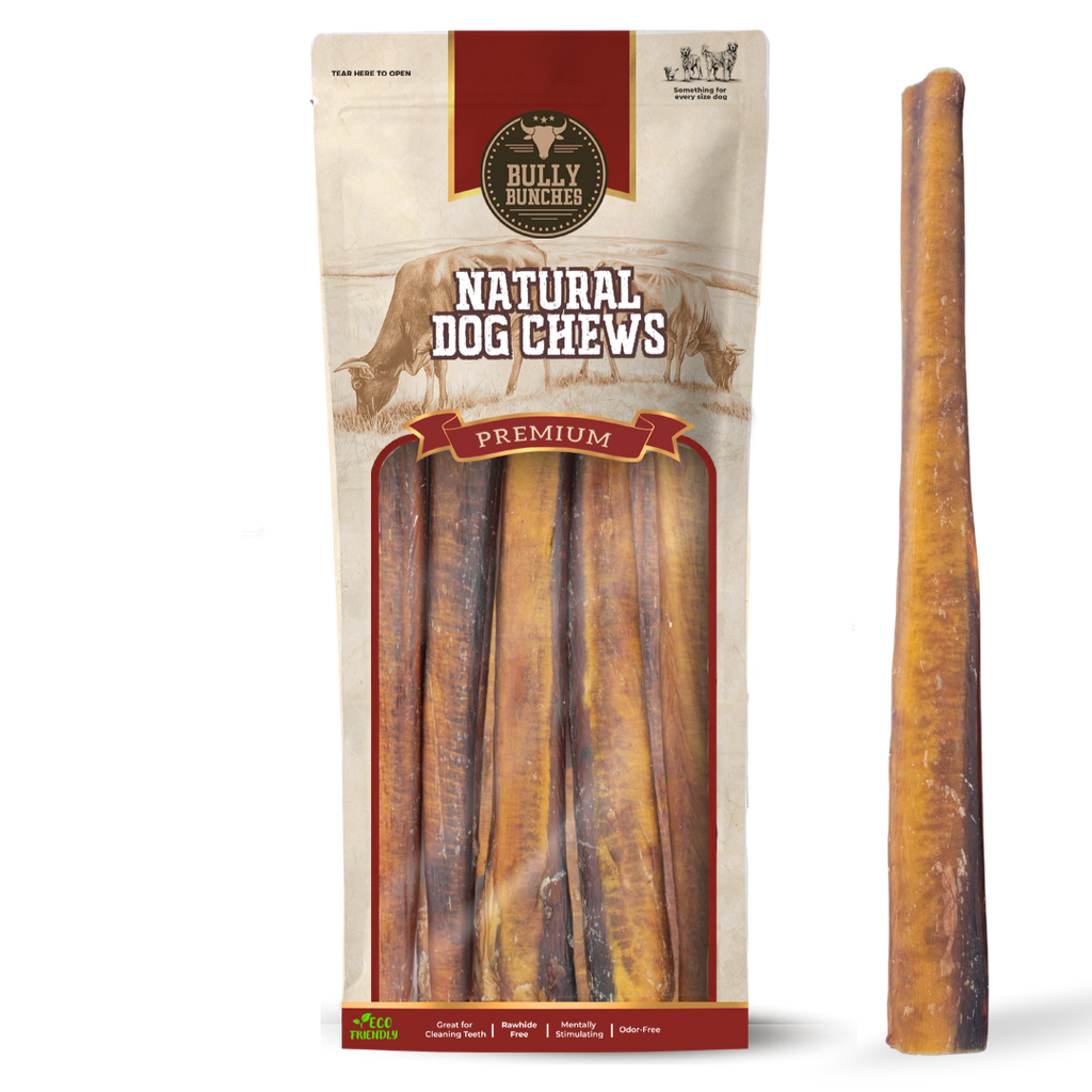 Bully stick géant de 30 cm (12 po)