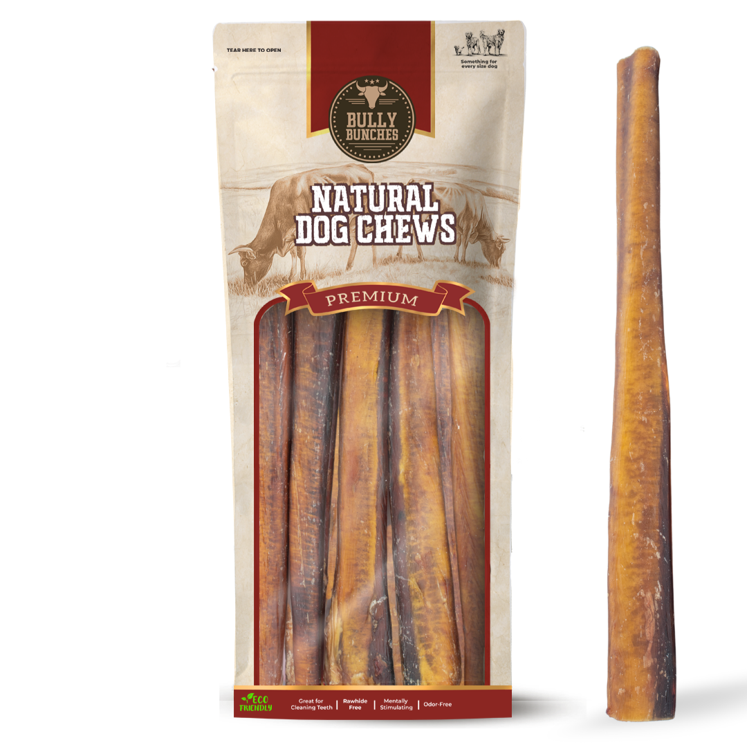 Bully stick géant de 30 cm (12 po)