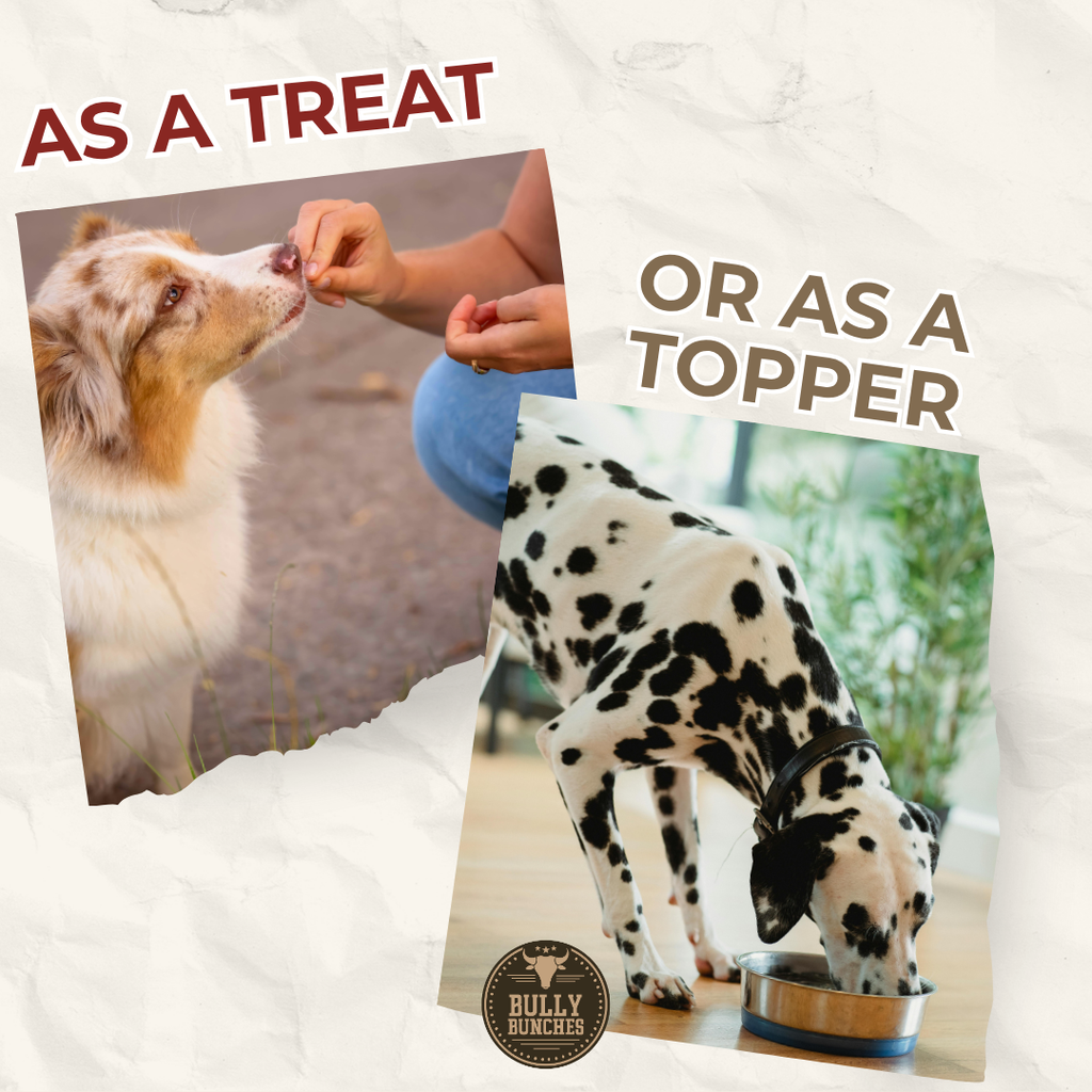 Freeze Dried Salmon 100g / 3.5oz