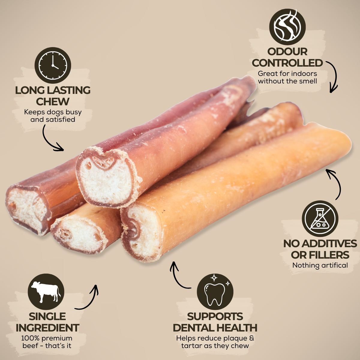 6 Inch Jumbo Bully Stick