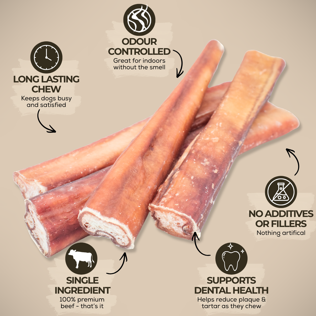 Bully stick épais pour chien – 6 pouces | Bully Bunches - PawNord