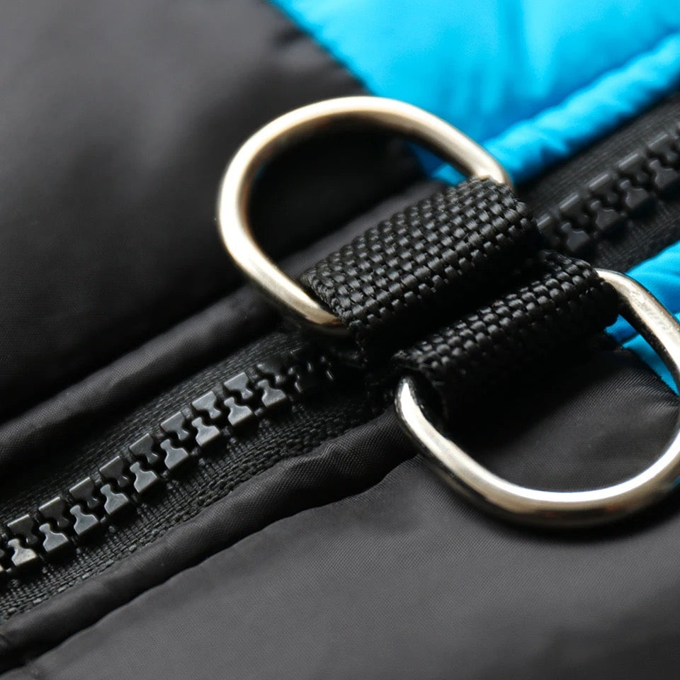 Manteau pour chiot Canada