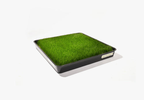Plateau réutilisable pour GrassBox