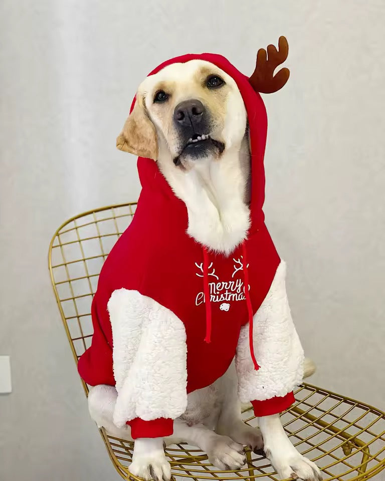 Hoodie de Noël Renne pour chien – Pull à capuche rouge et blanc