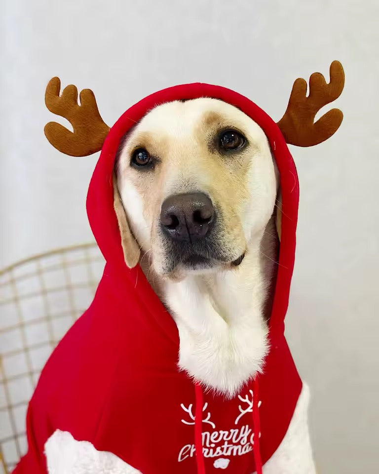 Hoodie de Noël Renne pour chien – Pull à capuche rouge et blanc