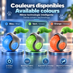 Balle intelligente interactive pour chat – Jeu autonome | PawNord