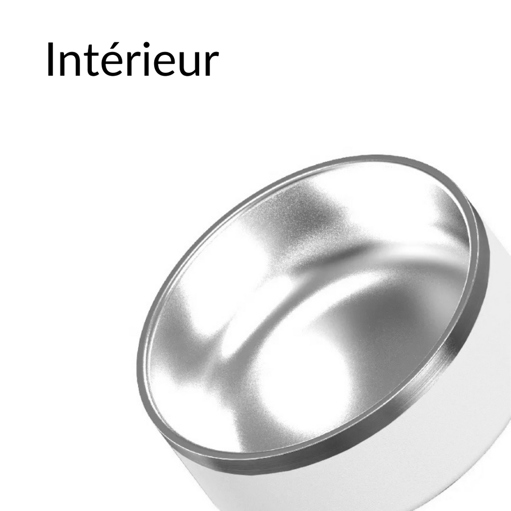 Gamelle personnalisée pour chien et chat sarcelle