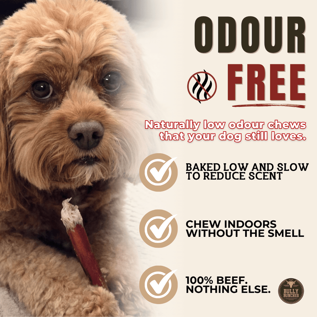 Bully Bargain Bag – Mélange de gâteries à mâcher pour chiens - PawNord