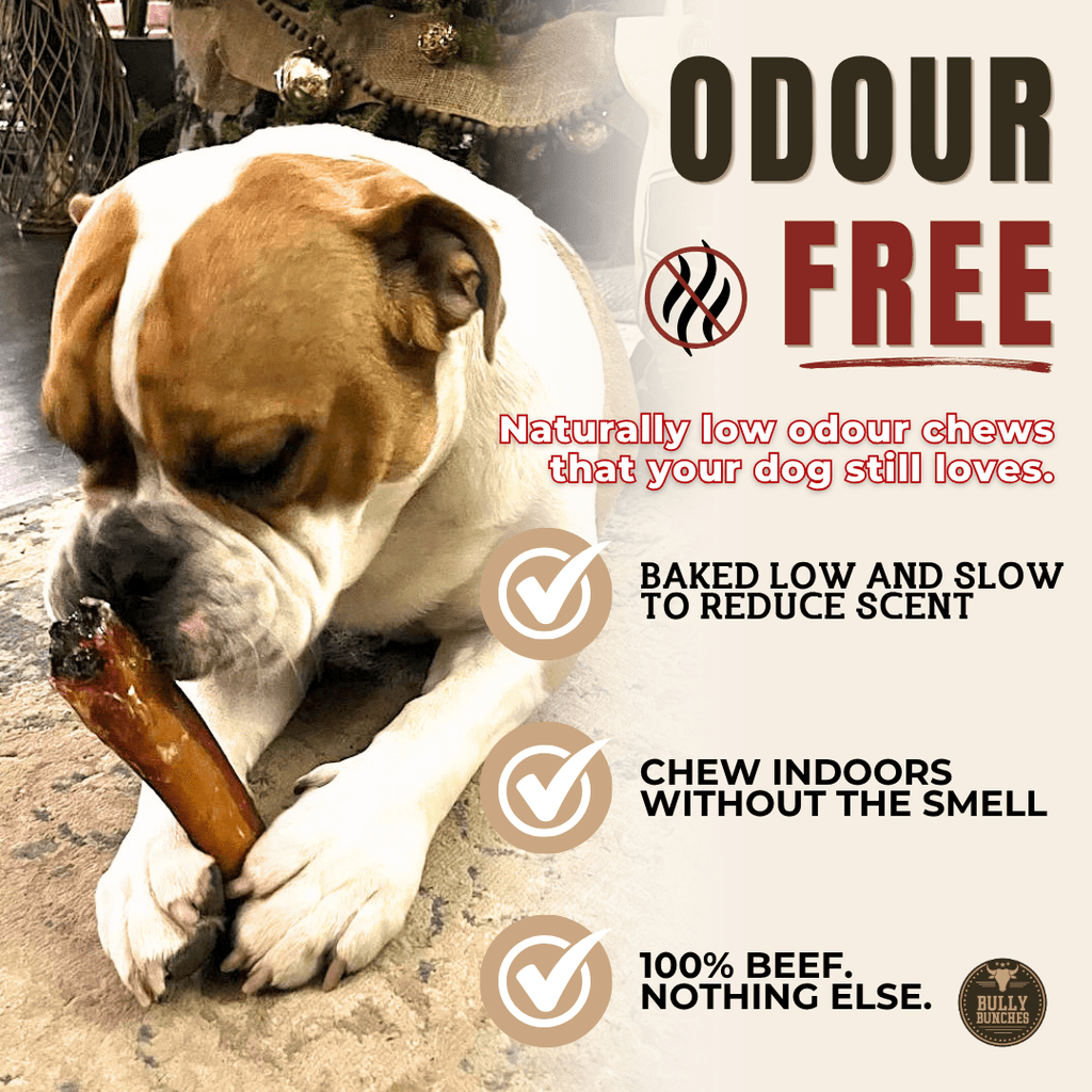 Bully stick Monster pour chien – 6 pouces | Bully Bunches - PawNord