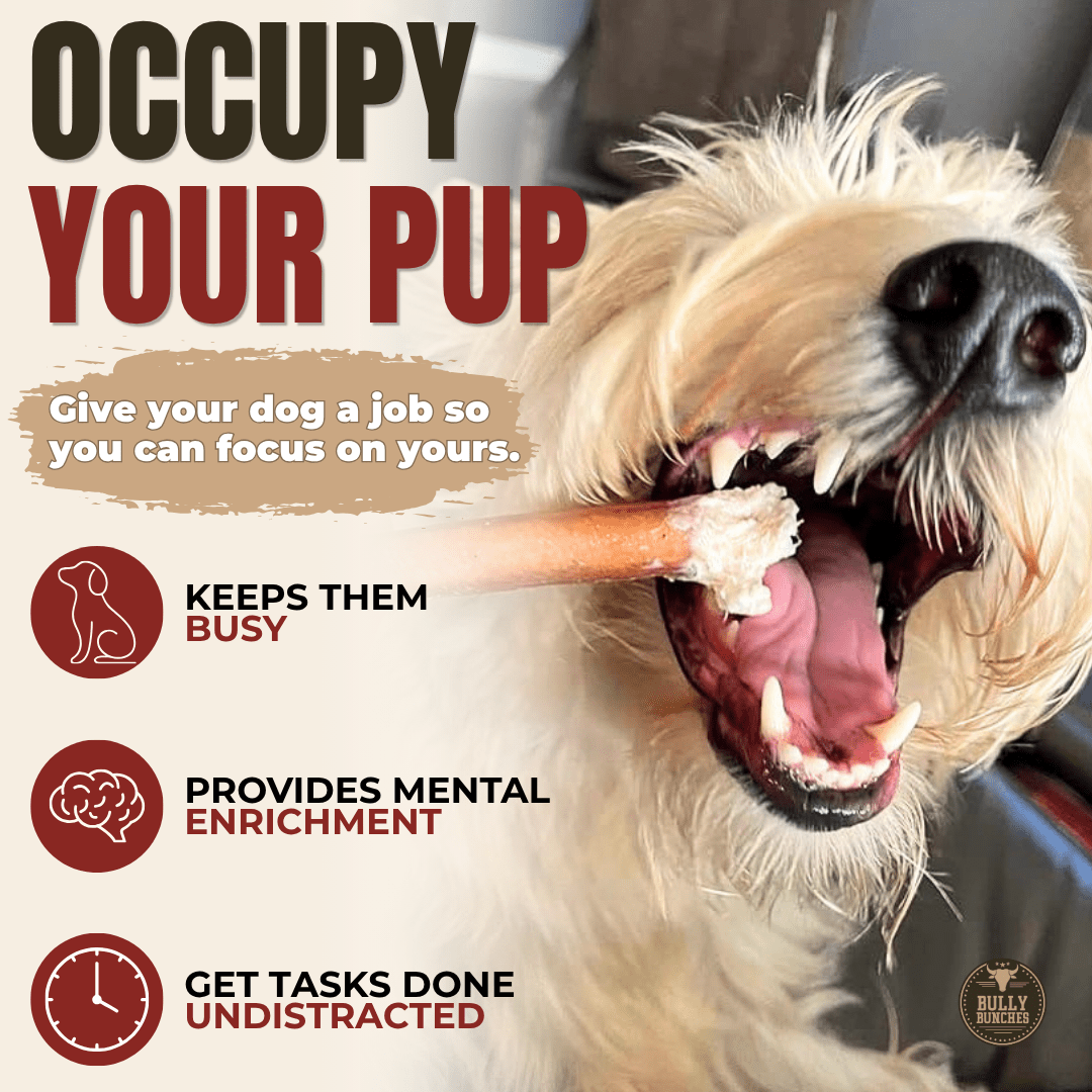 Bully stick standard pour chien – 6 pouces | Bully Bunches - PawNord