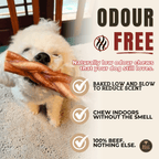 Bully stick tressé standard pour chien – 6 pouces | Bully Bunches - PawNord