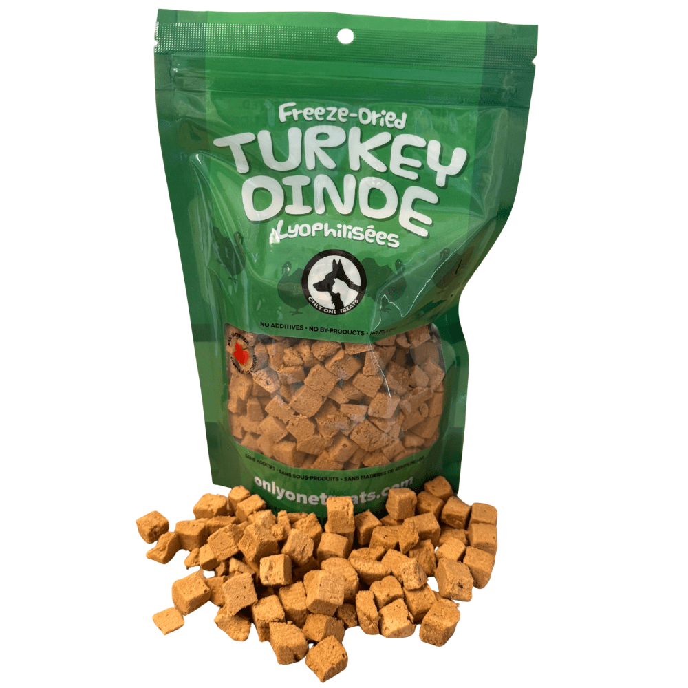 Dindon lyophilisé naturel pour chiens et chats – 85 g - PawNord