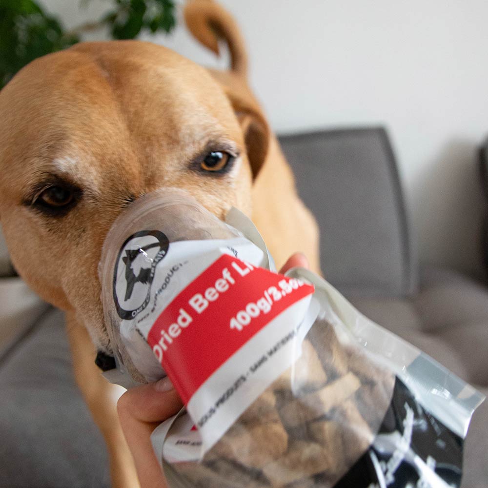 Foie de bœuf lyophilisé naturel pour chiens – 100 g - PawNord