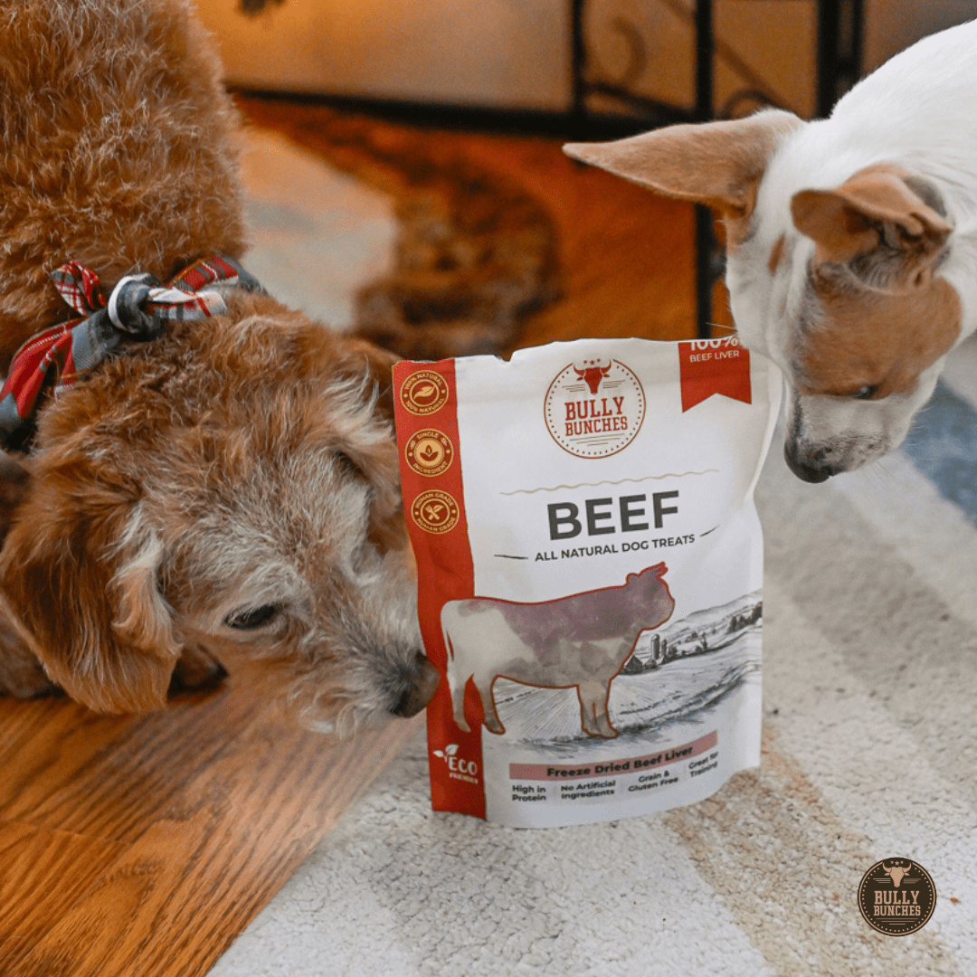 Foie de bœuf lyophilisé pour chien – 100 g / 3,5 oz - PawNord