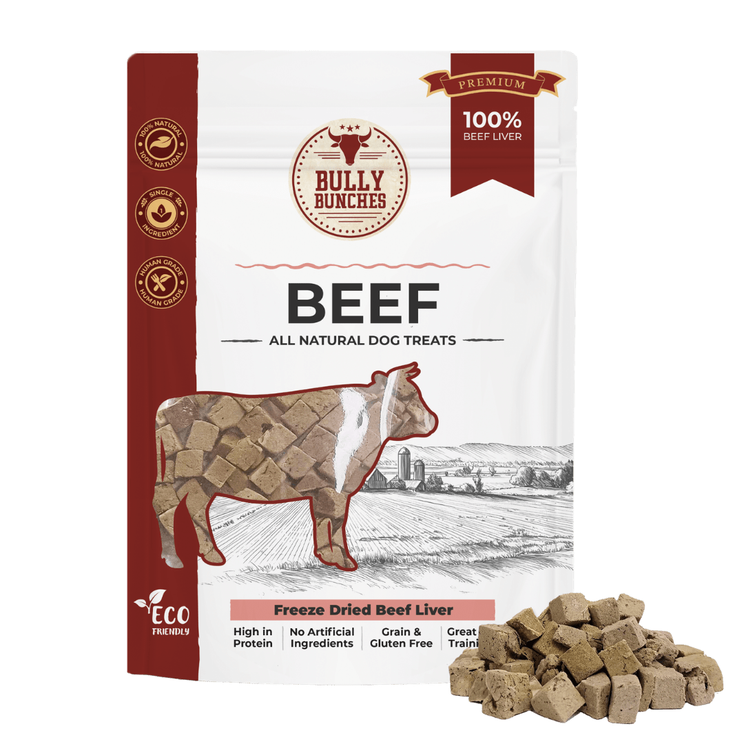 Foie de bœuf lyophilisé pour chien – 100 g / 3,5 oz - PawNord