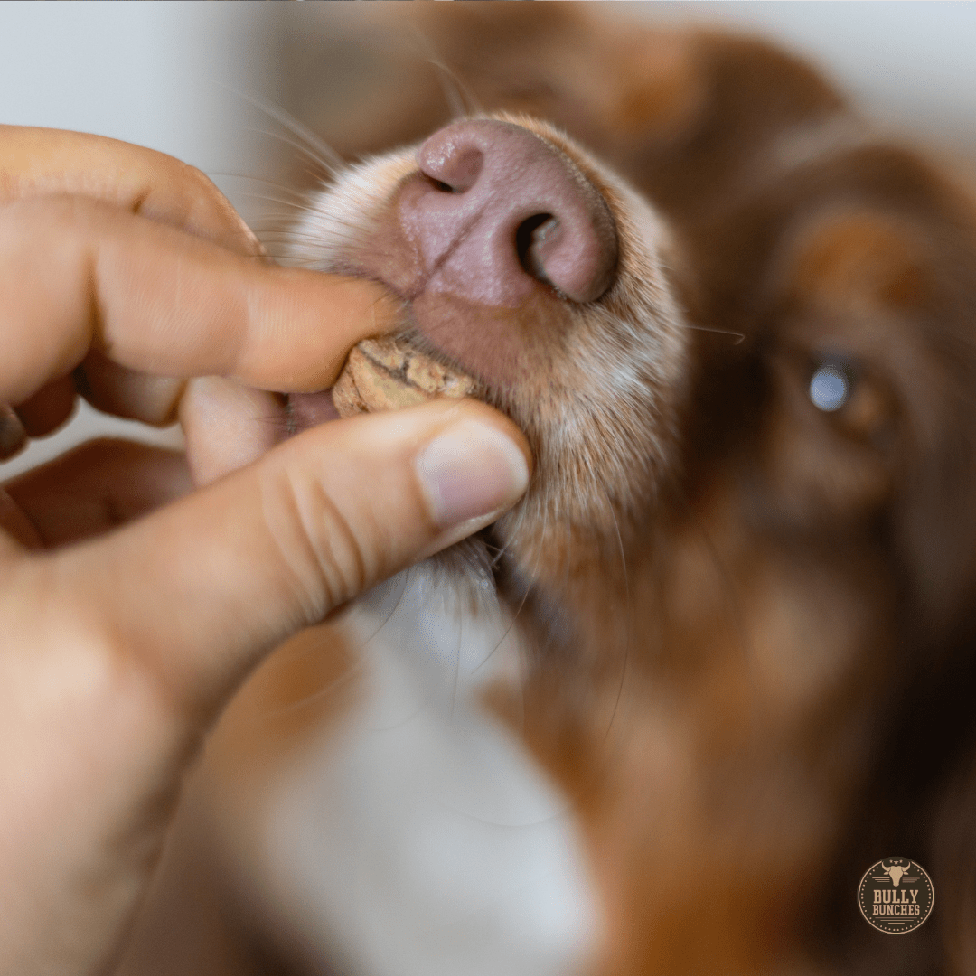 Foie de bœuf lyophilisé pour chien – 100 g / 3,5 oz - PawNord