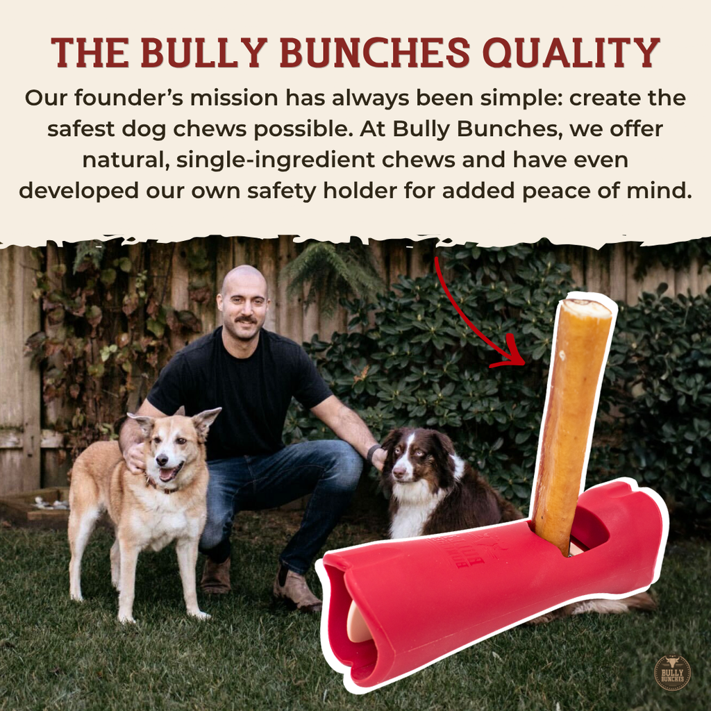 Bully stick géant de 30 cm (12 po)