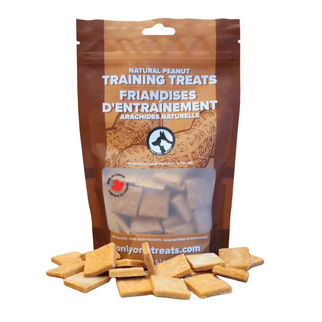 Friandises d'entraînement tendres naturelles aux arachides – 170 g - PawNord
