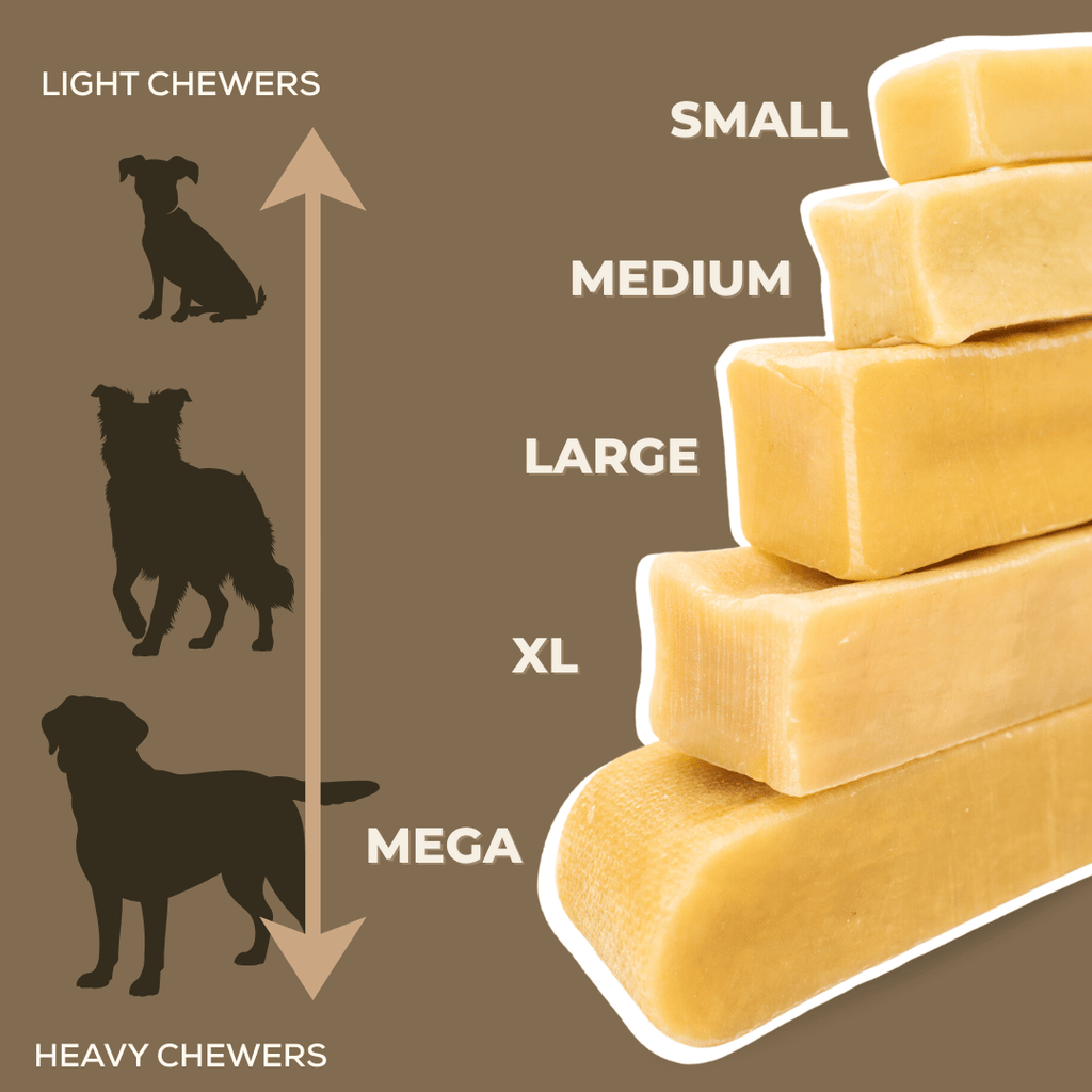 Fromage de yak de l’Himalaya à mâcher – Grand | Bully Bunches - PawNord