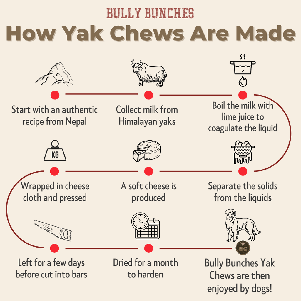 Fromage de yak de l’Himalaya à mâcher – Grand | Bully Bunches - PawNord