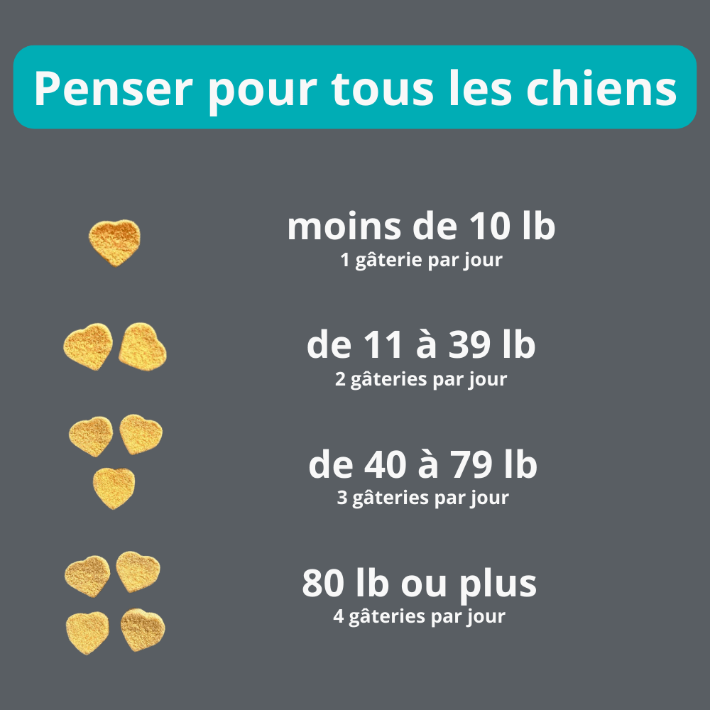 Gâteries calmantes pour chiens | PawNord - PawNord