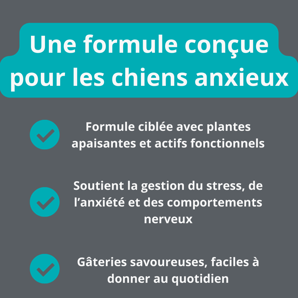 Gâteries calmantes pour chiens | PawNord - PawNord