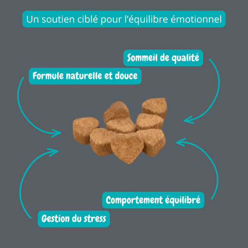Gâteries calmantes pour chiens | PawNord - PawNord