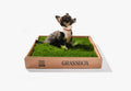 GrassBox – tapis d’herbe naturelle pour chien