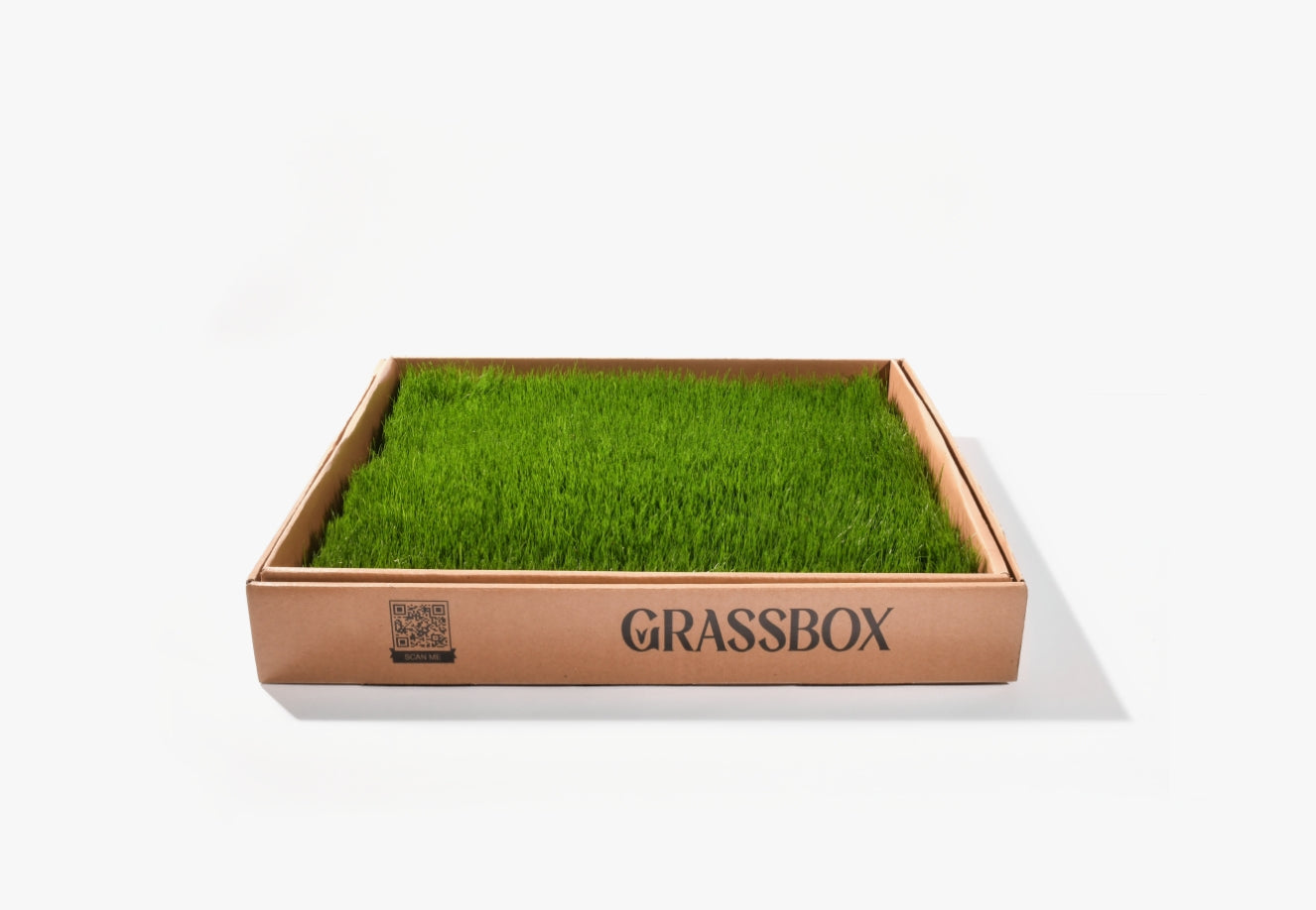 GrassBox – tapis d’herbe naturelle pour chien