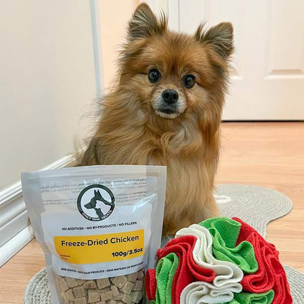 Poulet lyophilisé naturel pour chiens et chats – 100 g - PawNord