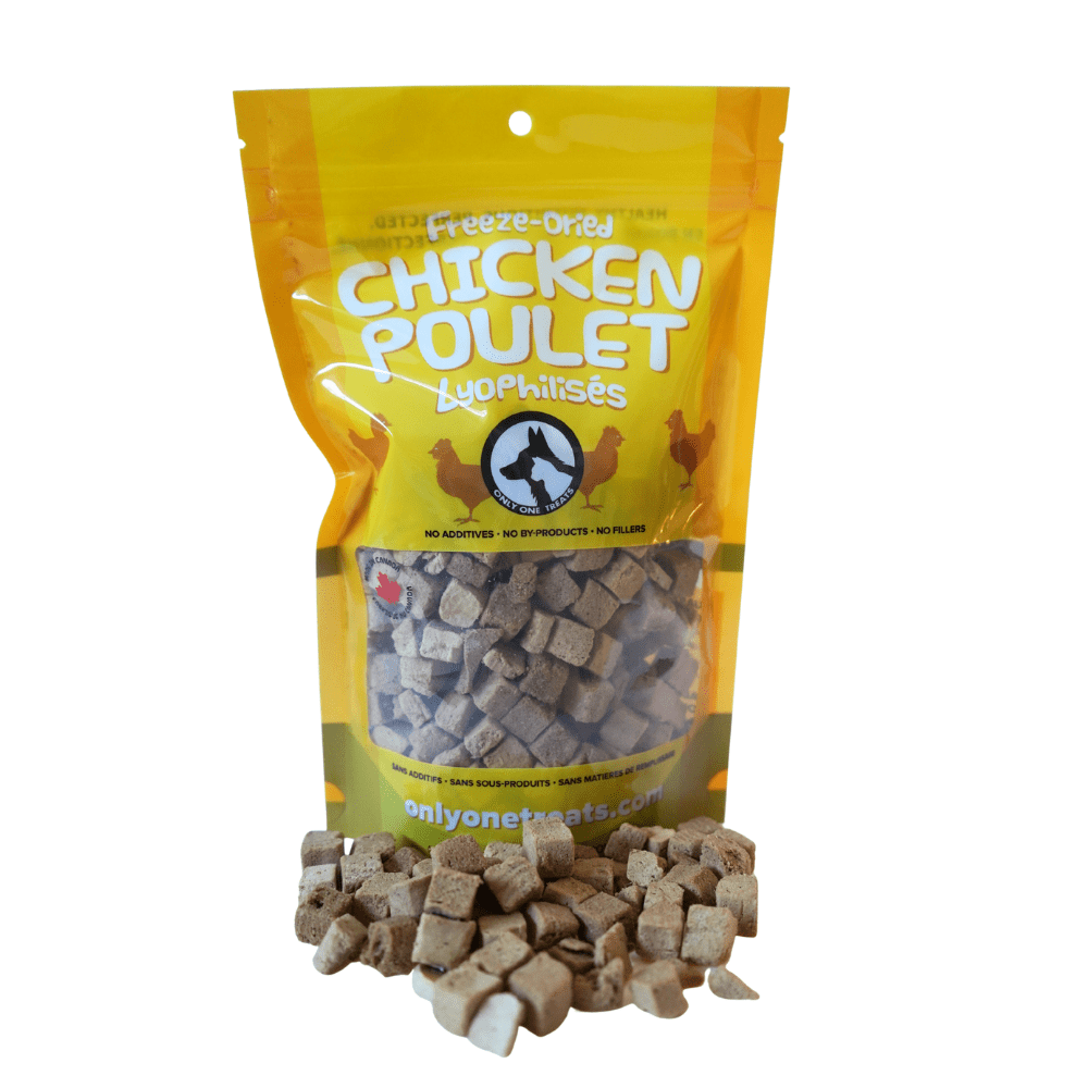 Poulet lyophilisé naturel pour chiens et chats – 100 g - PawNord