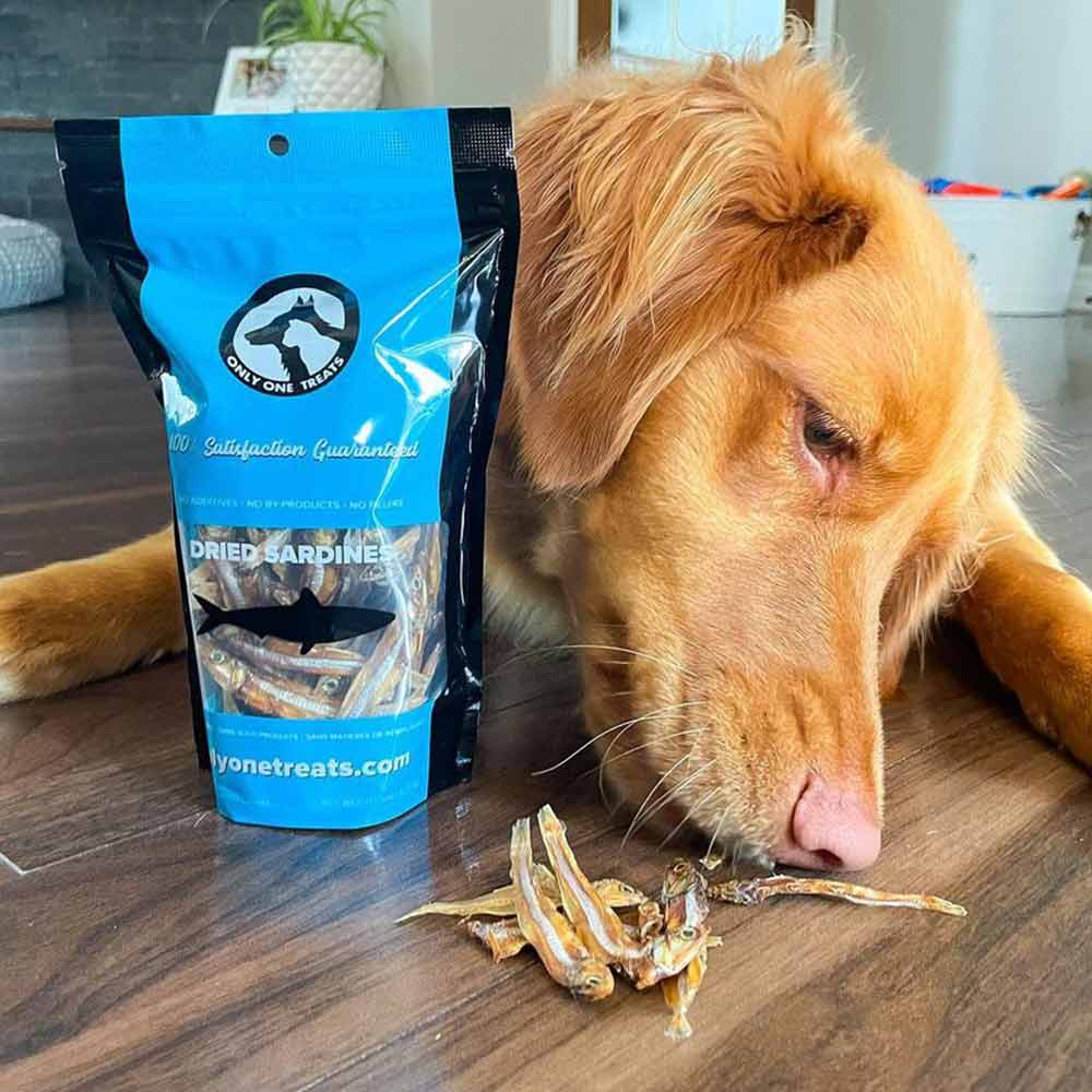 Sardines séchées pour chiens et chats – 90 g - PawNord