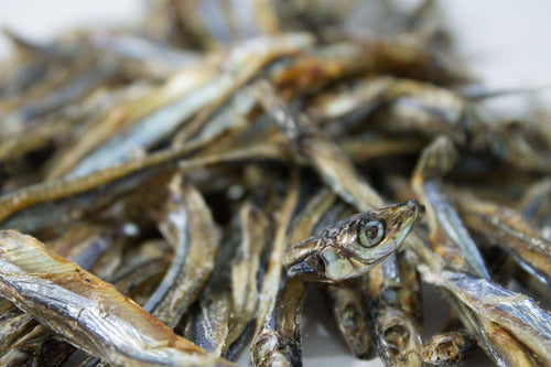 Sardines séchées pour chiens et chats – 90 g - PawNord