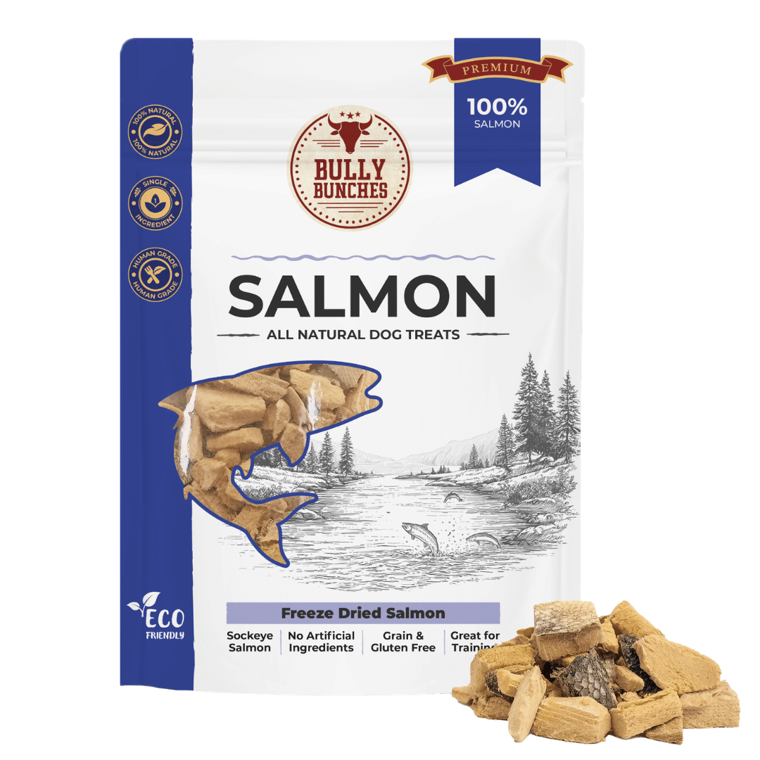 Saumon Lyophilisé 100 g / 3,5 oz | Bully Bunches - PawNord
