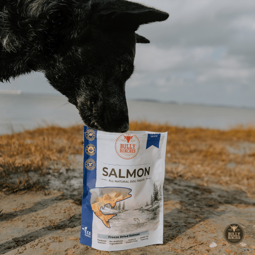 Saumon Lyophilisé 100 g / 3,5 oz | Bully Bunches - PawNord