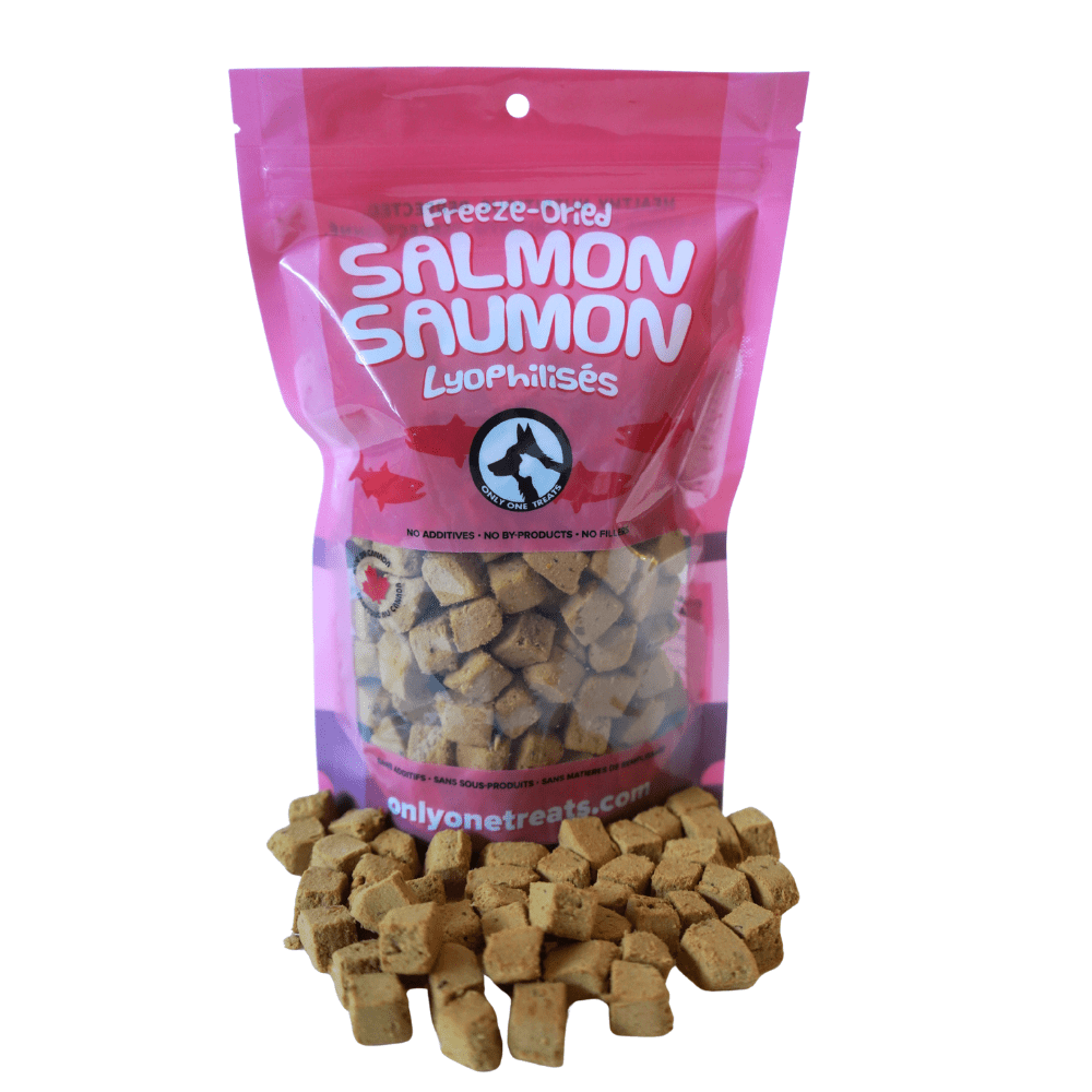 Saumon lyophilisé naturel pour chiens et chats – 85 g - PawNord