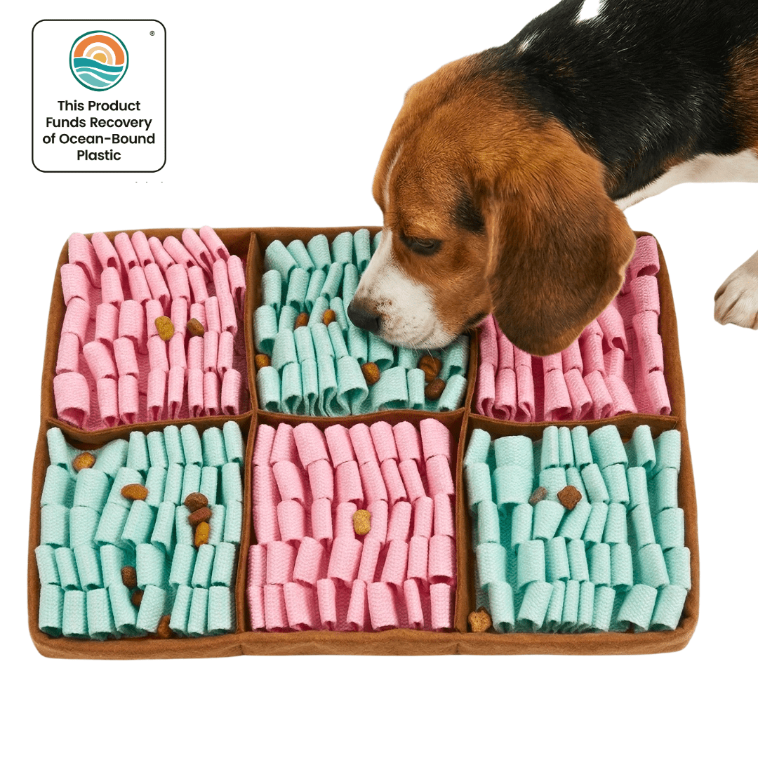 Tapis de fouille Gourmet Delights™ - PawNord