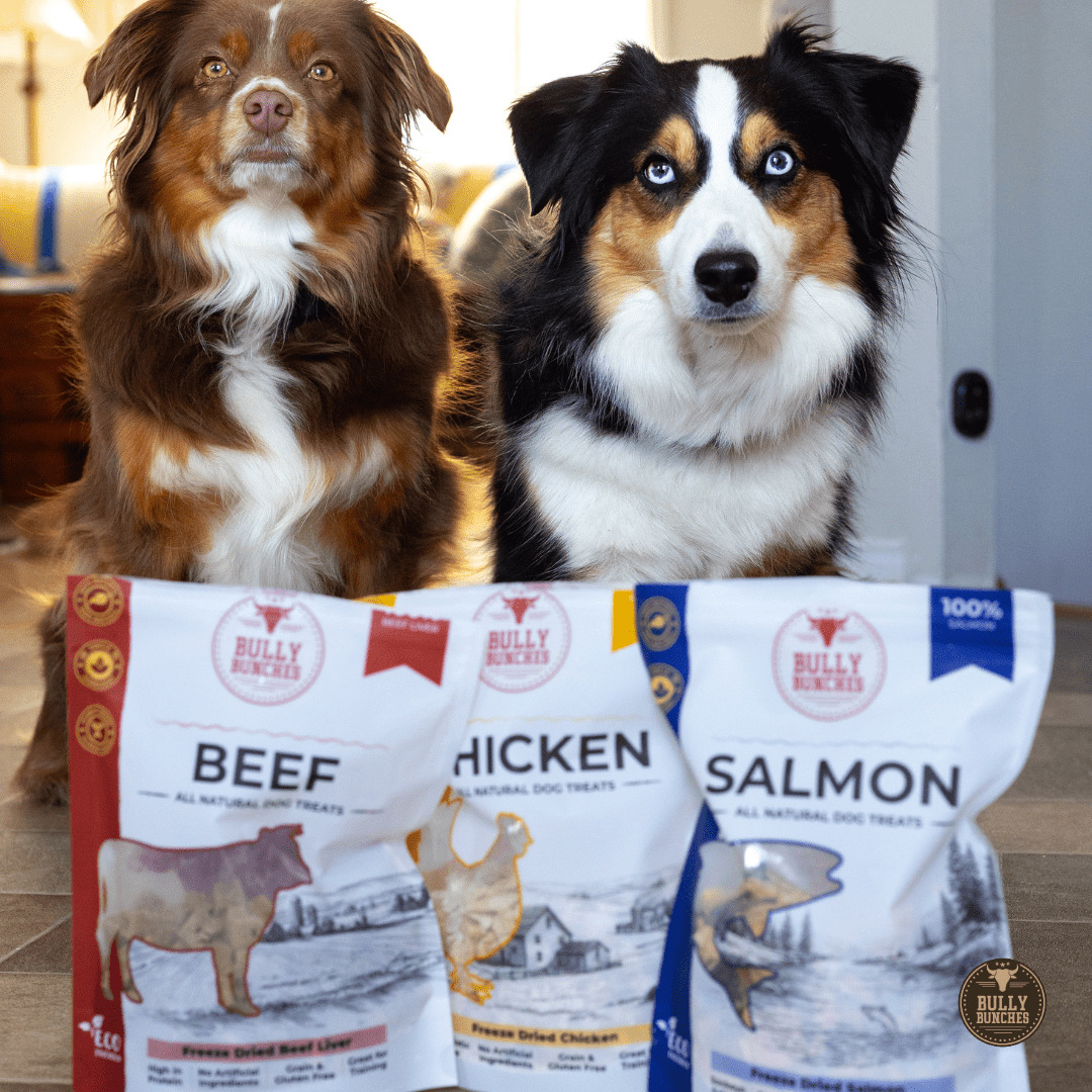 Trio de friandises lyophilisées pour chien | Bully Bunches - PawNord